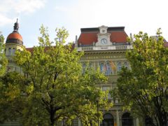 IMG 6426