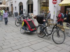 IMG 4727