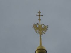 IMG 4533