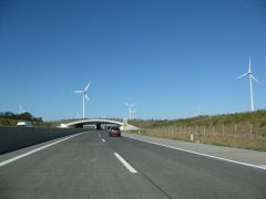 IMG 4271