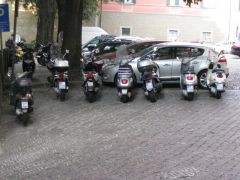 IMG 5321