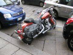 IMG 5529