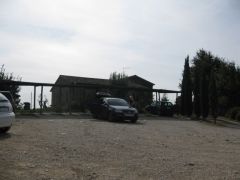 IMG 6162