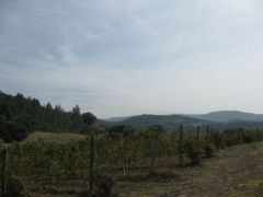 IMG 6163
