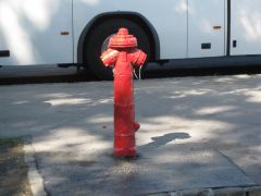 IMG 6511