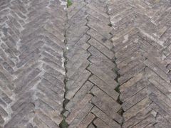 IMG 5319