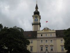 IMG 4623