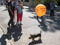 IMG 6480