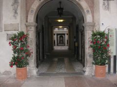 IMG 5090