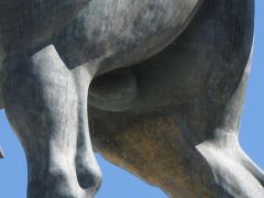 IMG 5951