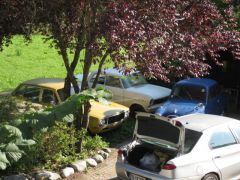 IMG 4895