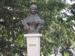 IMG 3896