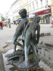IMG 4502