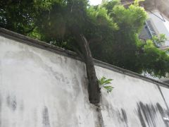 IMG 5180