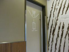 IMG 4624