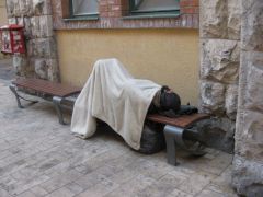 IMG 6573