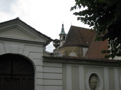 IMG 4527