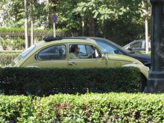 IMG 6513