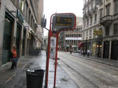 IMG 5457