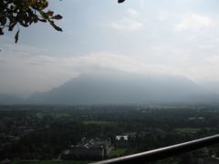 IMG 4852