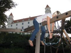 IMG 4252