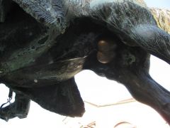 IMG 6679