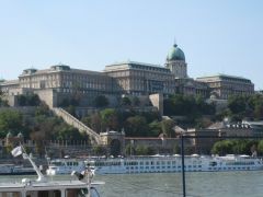 IMG 6590