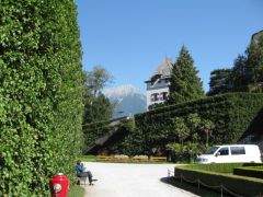 IMG 4919