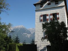 IMG 4923