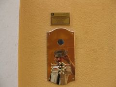 IMG 5237