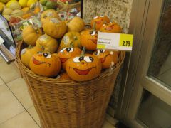 IMG 4504