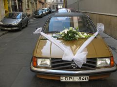 IMG 6578
