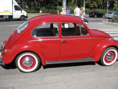IMG 4382