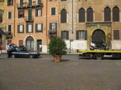 IMG 5169