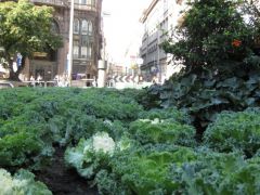 IMG 6563