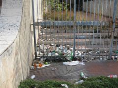 IMG 6174