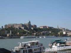 IMG 6588