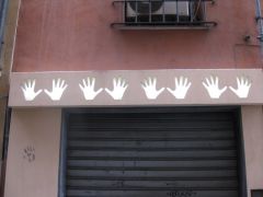 IMG 5648