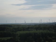IMG 4222