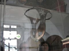 IMG 4831