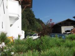 IMG 4896