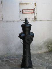 IMG 4312