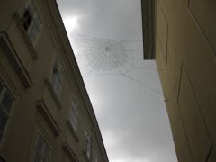 IMG 4555