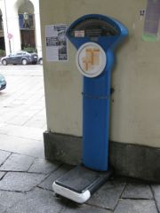 IMG 5518