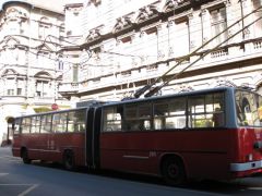 IMG 6528