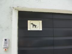 IMG 5245