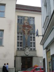 IMG 4531