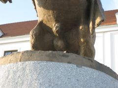 IMG 4227