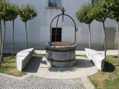 IMG 6402