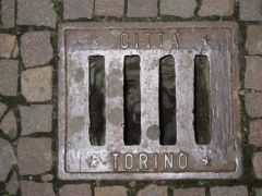 IMG 5538